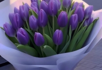 Ý Nghĩa Của Hoa Tulip Tím – Màu Sắc Của Sự Thịnh Vượng