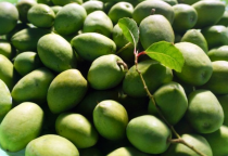 Trái Cà Na - Hương Vị Đặc Trưng Mùa Nước Nổi