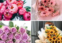 21 Loại Hoa Đẹp Chúc Mừng Ngày Phụ Nữ Việt Nam 20/10