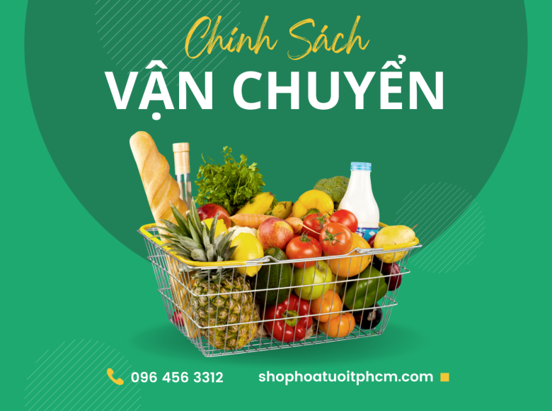 Chính Sách Vận Chuyển