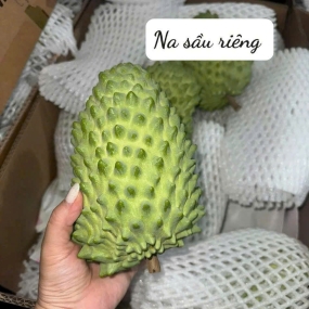 Na Sầu Riêng Thơm Ngọt