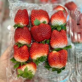 Dâu Mộc Châu Chuẩn Vị Ngọt Đậm Mọng Nước