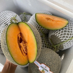 Dưa Lưới Thơm Ngon Loại 1