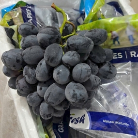 Nho Đen Mỹ