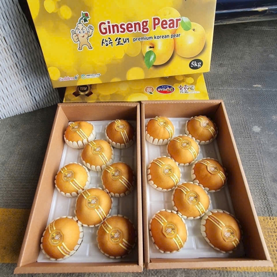 Lê Hàn Quốc Chất Lượng Nhất