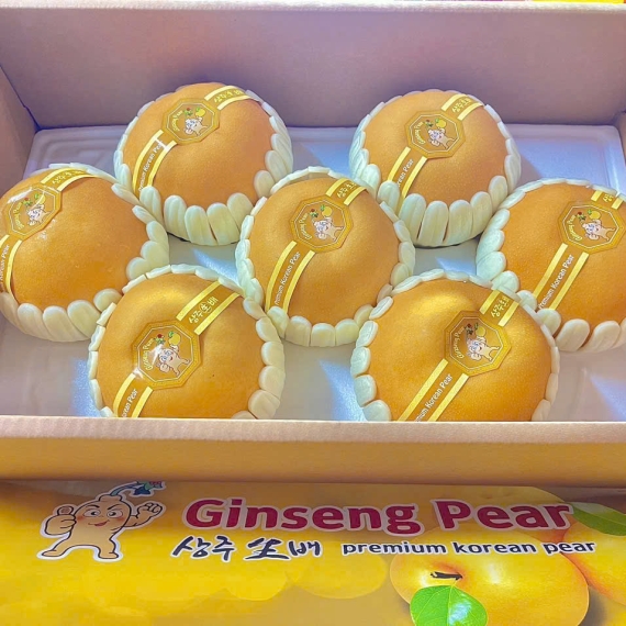 Lê Hàn Quốc Chất Lượng Nhất