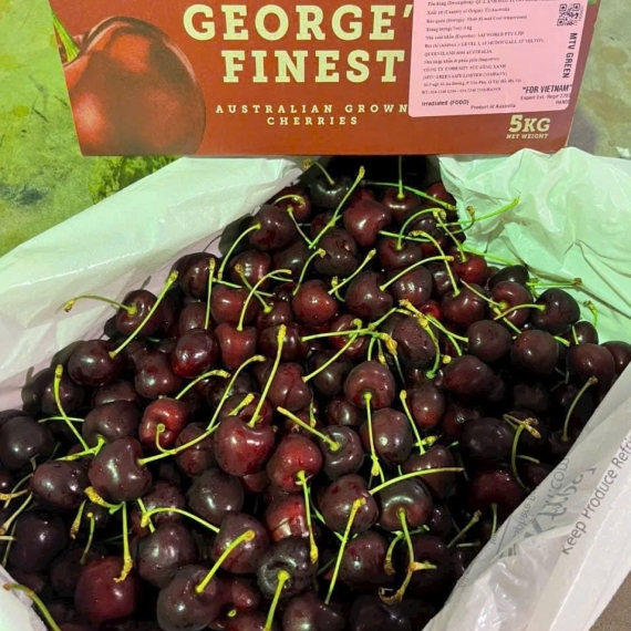 Cherry Geo Hill Úc Chất Lượng Thiên Nhiên