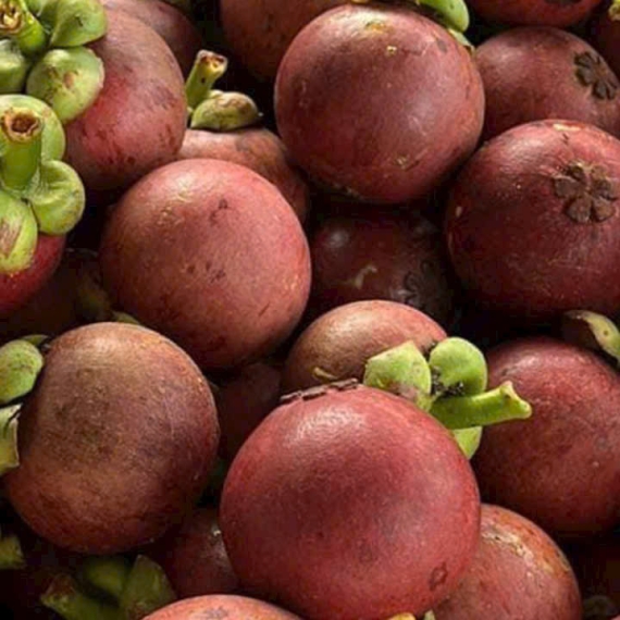 Măng Cụt Tươi Ngon Chất Lượng Việt Nam